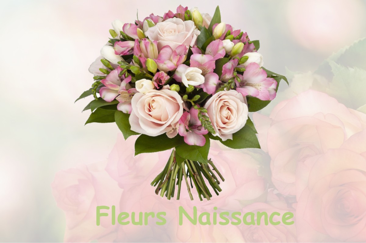 fleurs naissance OLIZY-SUR-CHIERS