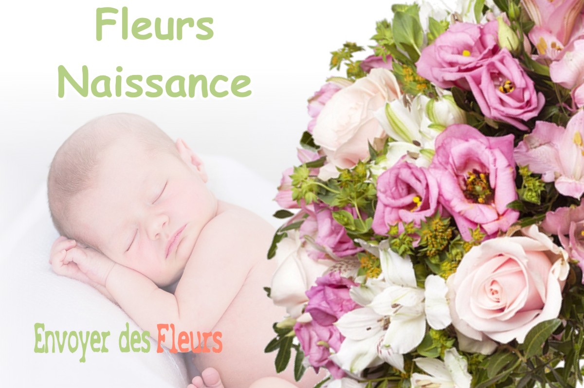 lIVRAISON FLEURS NAISSANCE à OLIZY-SUR-CHIERS