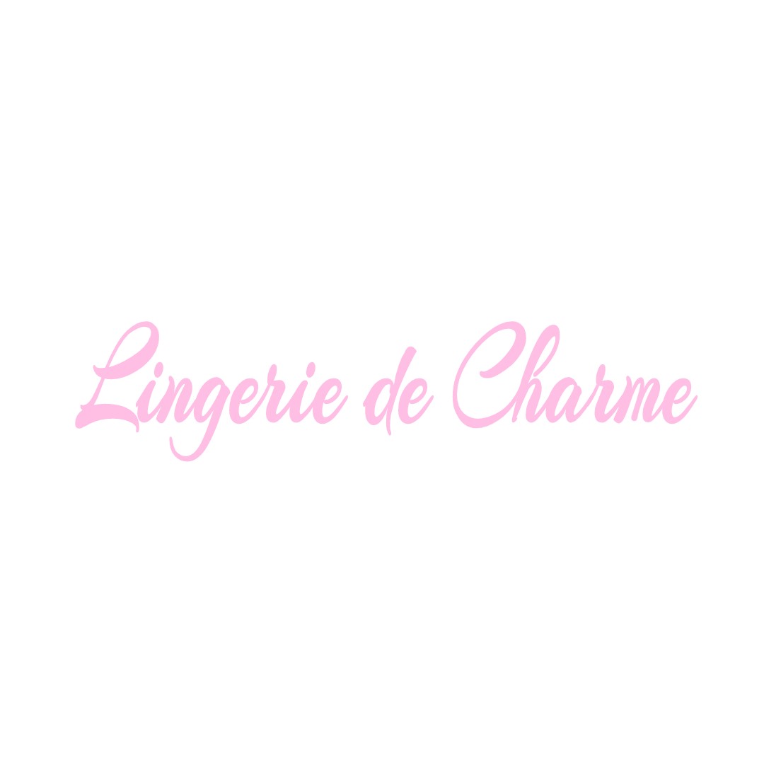 LINGERIE DE CHARME OLIZY-SUR-CHIERS